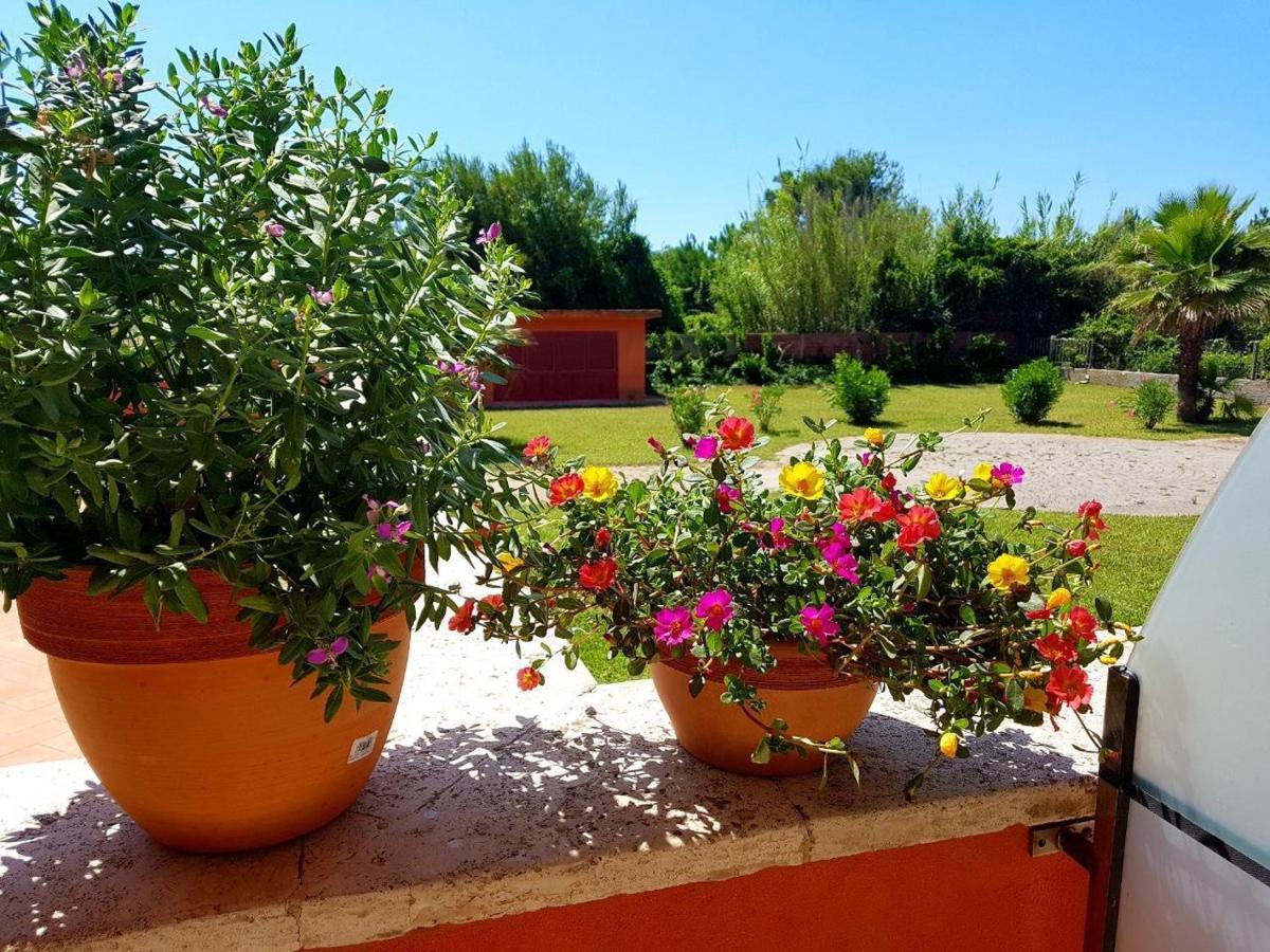 Regina Beach Holiday Apartments 티레니아 외부 사진